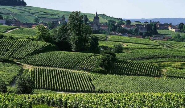 Champagne-Castelnau-Vignes