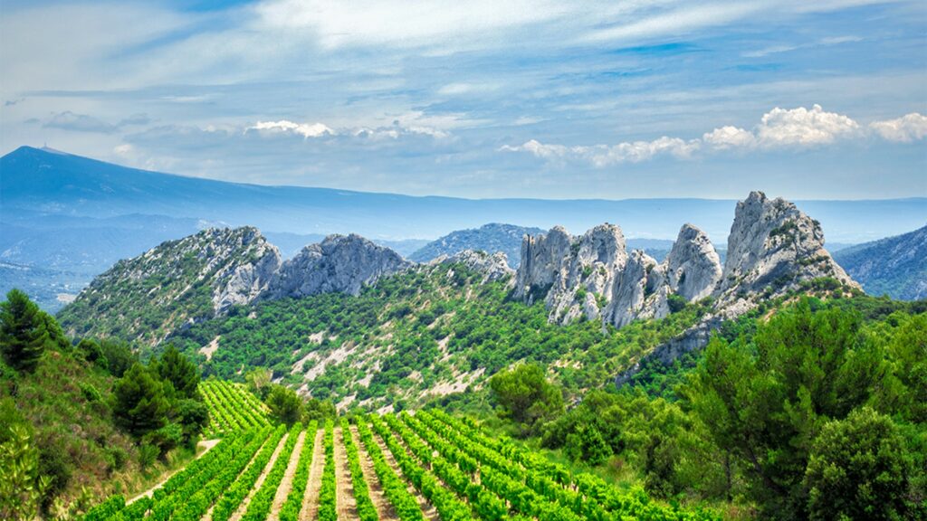 Vignobles et Dentelles