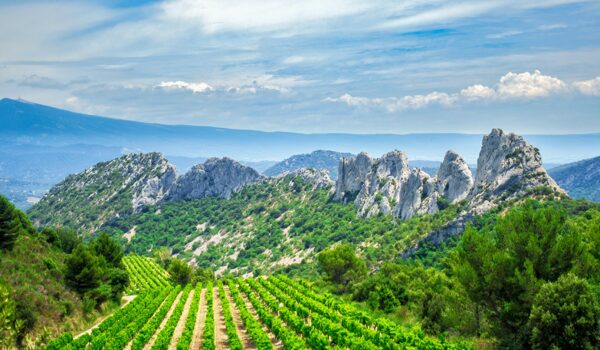 Vignobles et Dentelles
